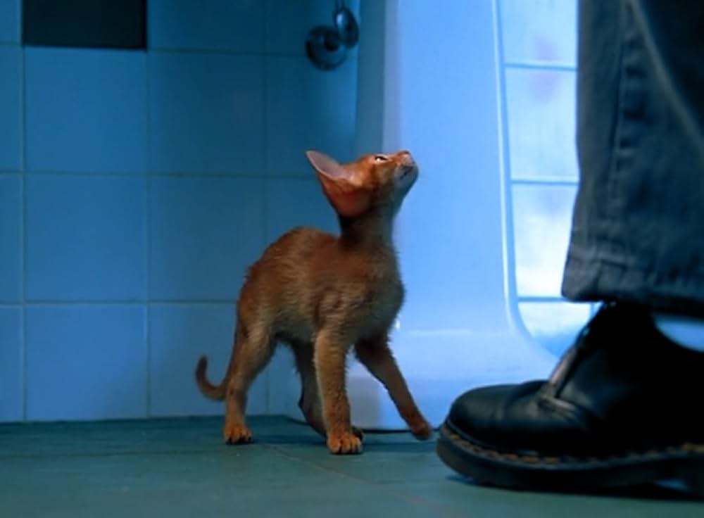 ウィズアウト・ユーの画像