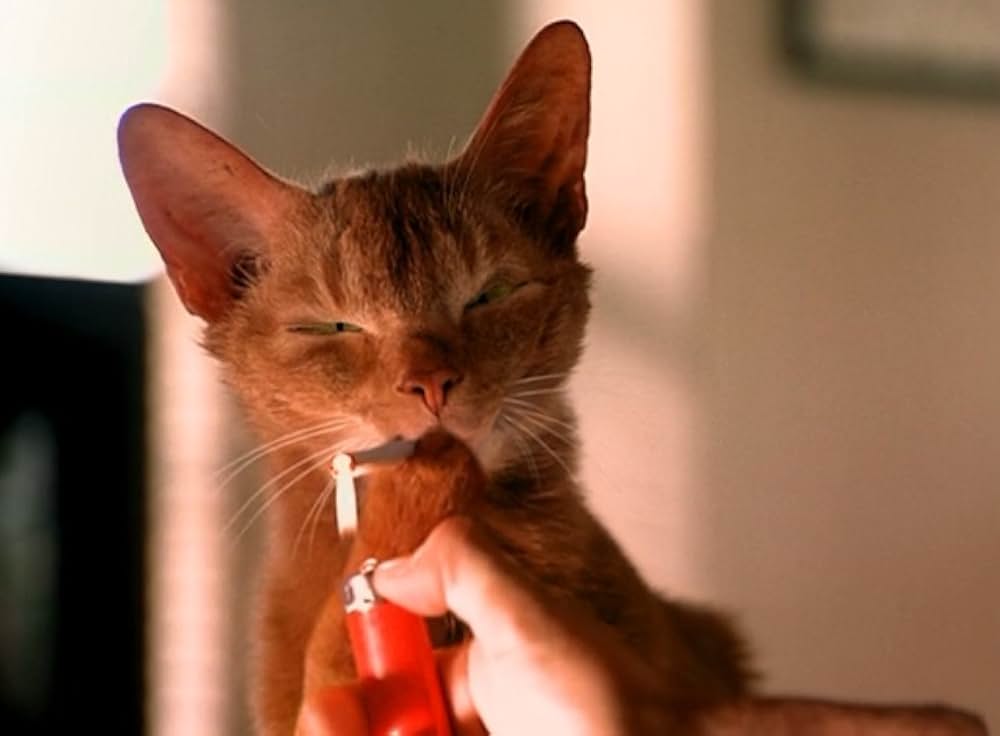 ウィズアウト・ユーの画像