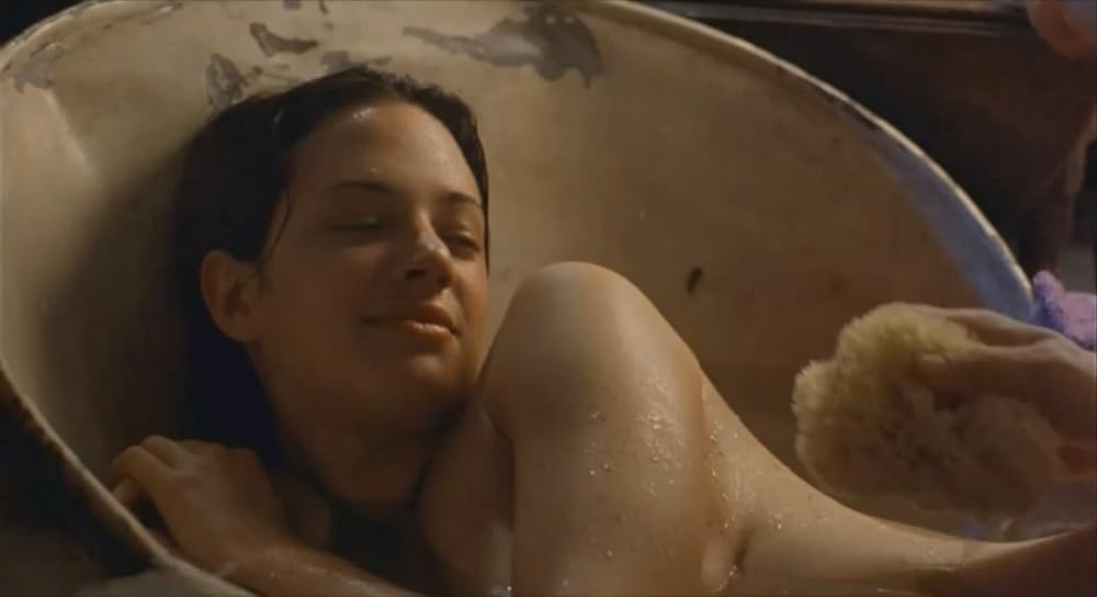 Bモンキーの画像