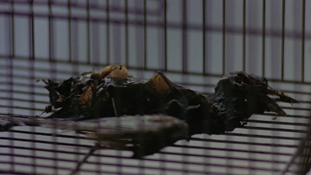 ネイムレス 無名恐怖の画像