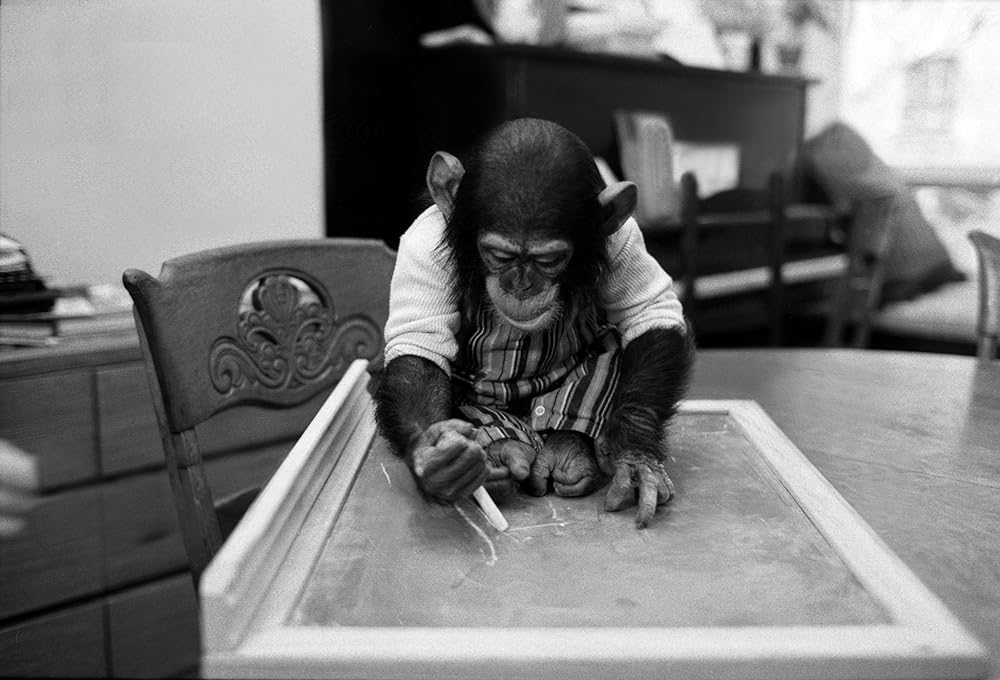 プロジェクト・ニムの画像