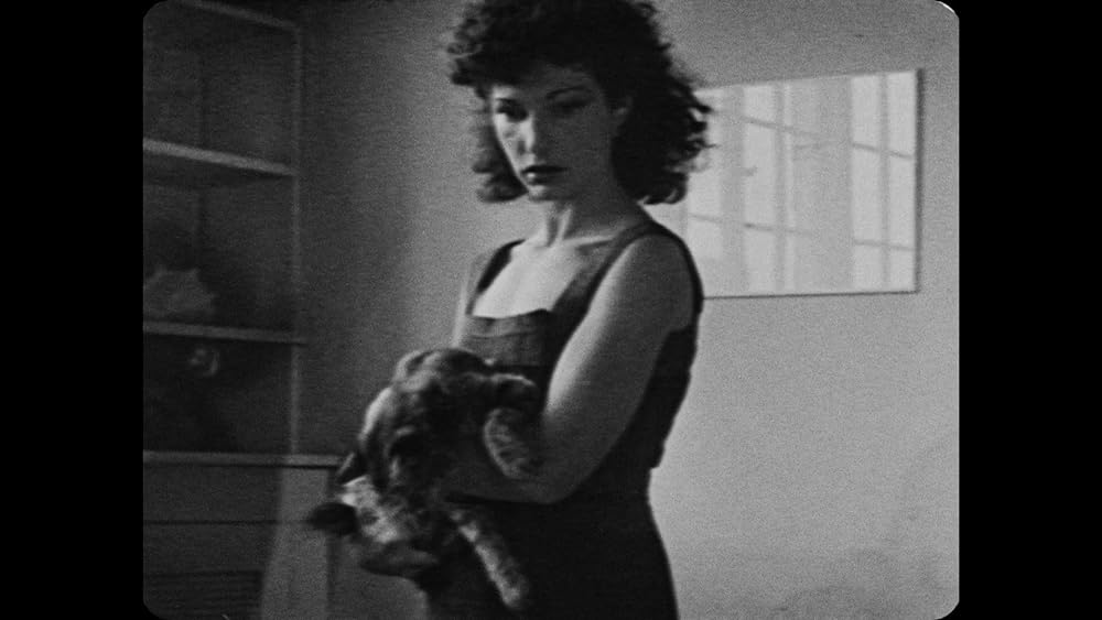 陸地にての画像