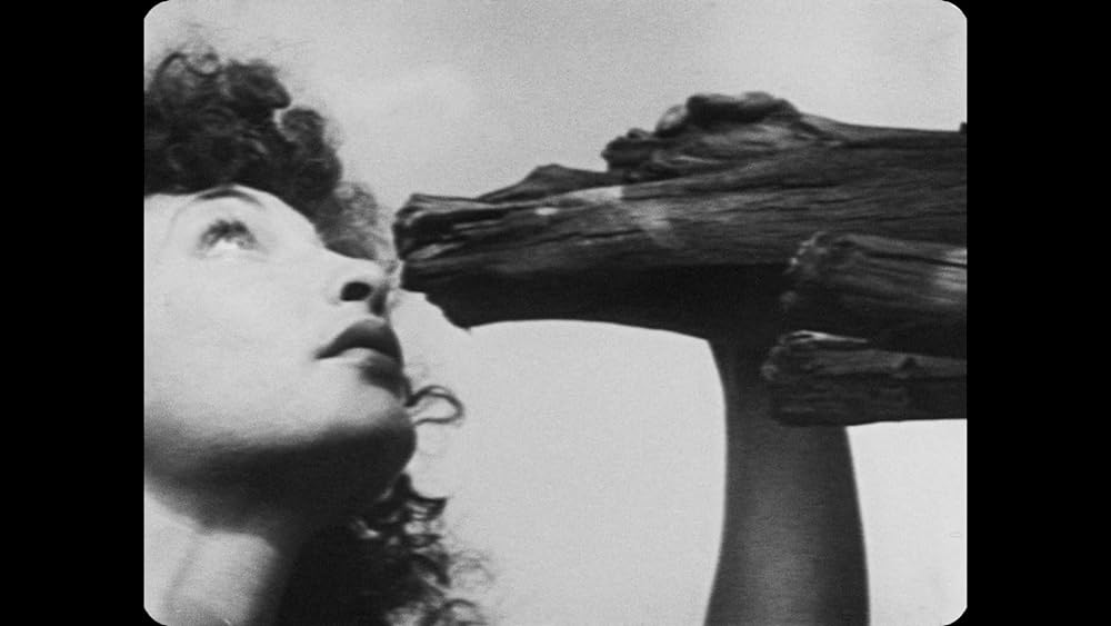 陸地にての画像