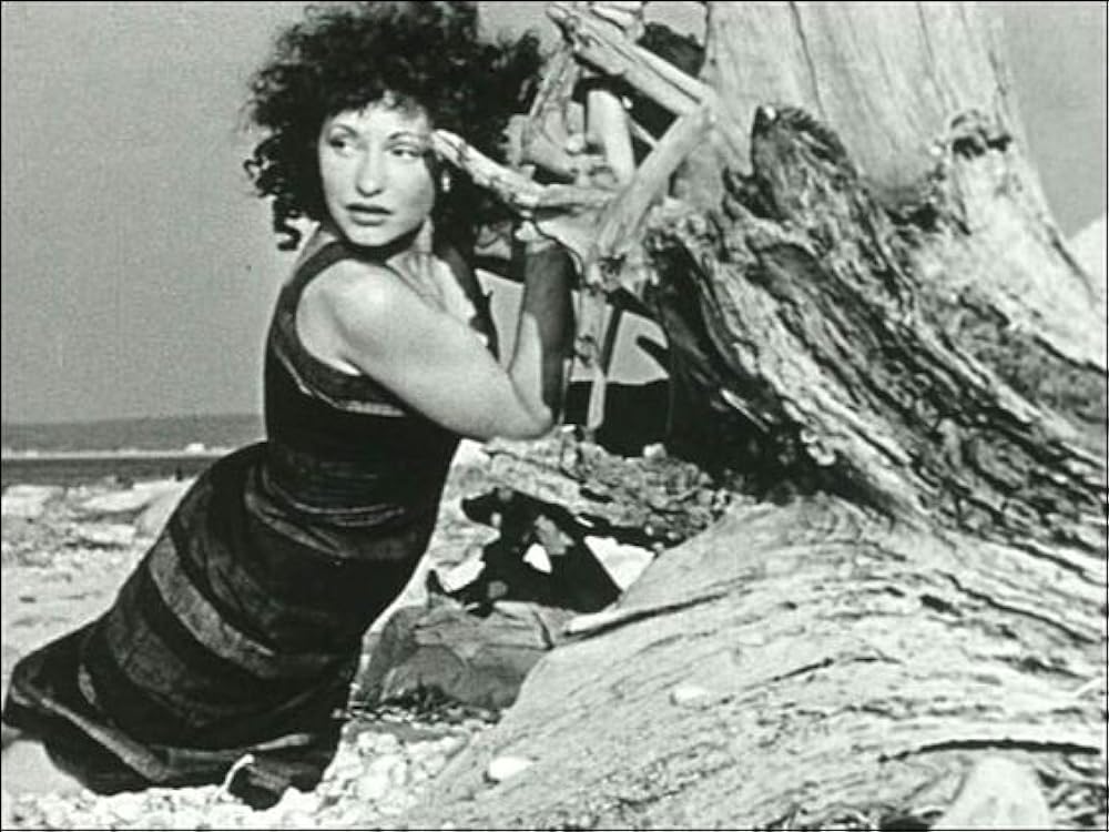 陸地にての画像