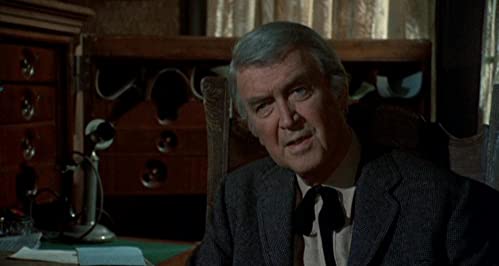 ラスト・シューティストの画像