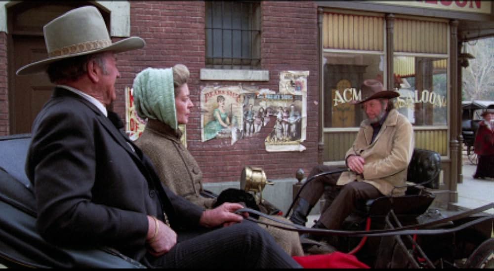 ラスト・シューティストの画像