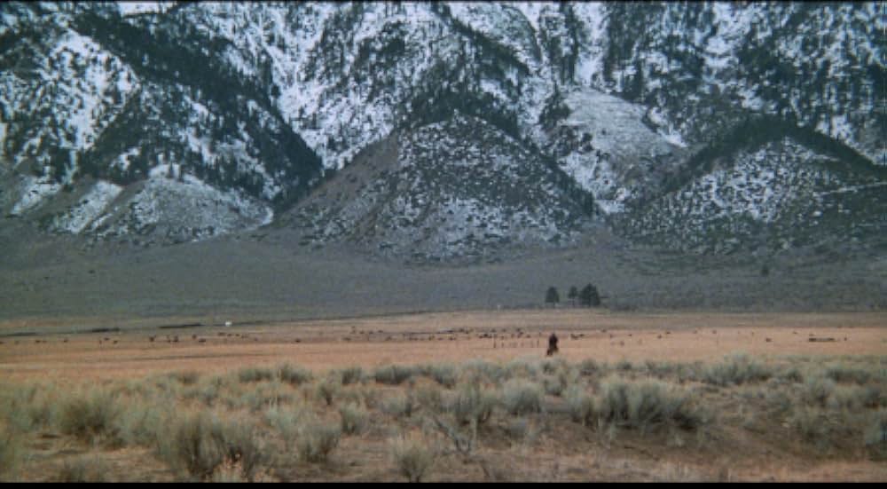 ラスト・シューティストの画像