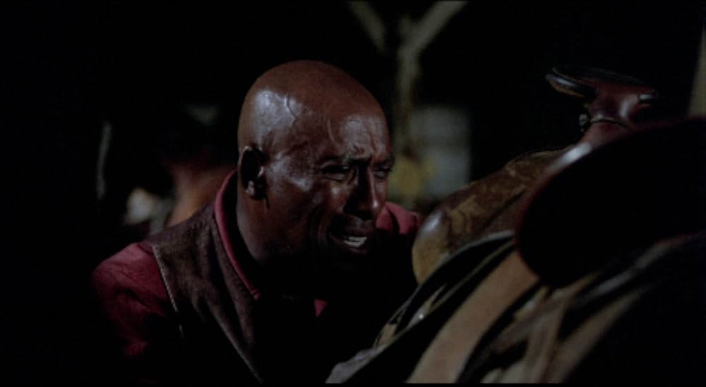 ラスト・シューティストの画像