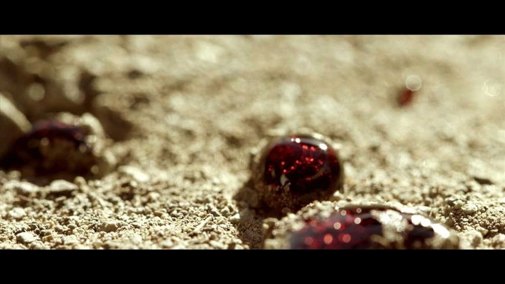 EMMA／エマ デッド・オア・キルの画像