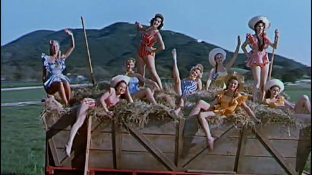 底抜けコンビのるかそるかの画像