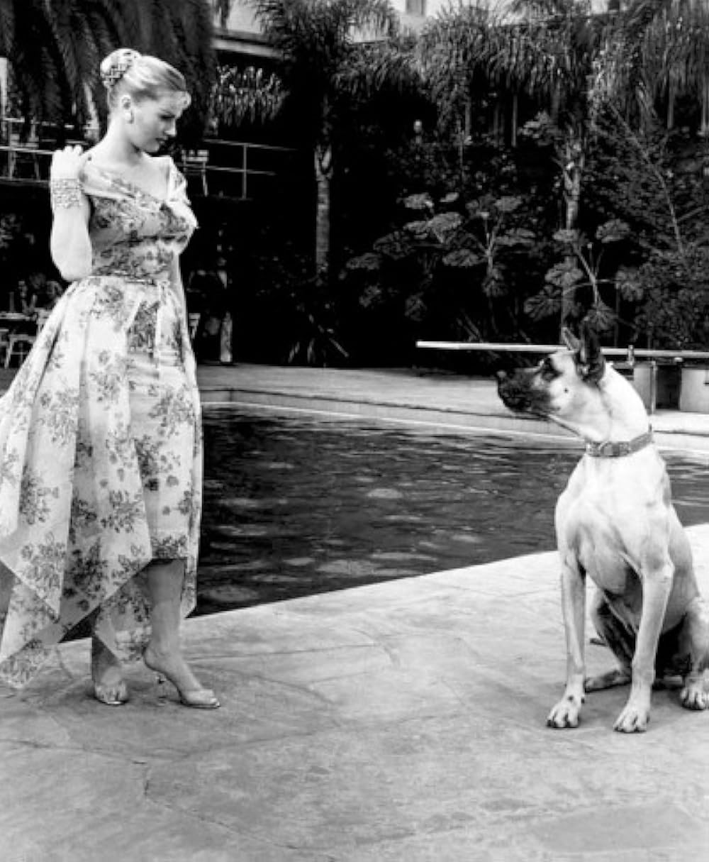 底抜けコンビのるかそるかの画像