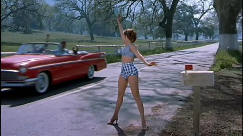 底抜けコンビのるかそるかの画像