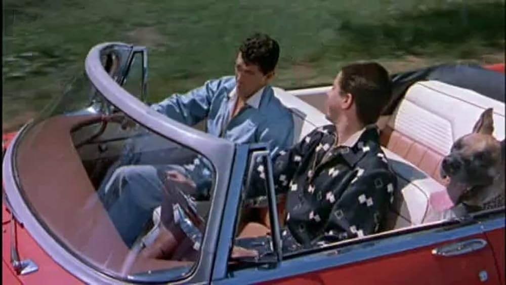 底抜けコンビのるかそるかの画像