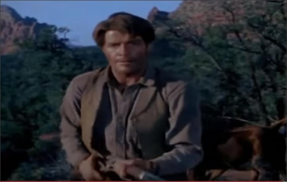 荒野の襲撃の画像