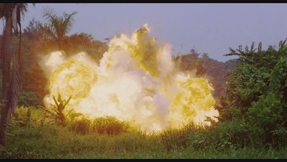 キラー・クロコダイルの画像