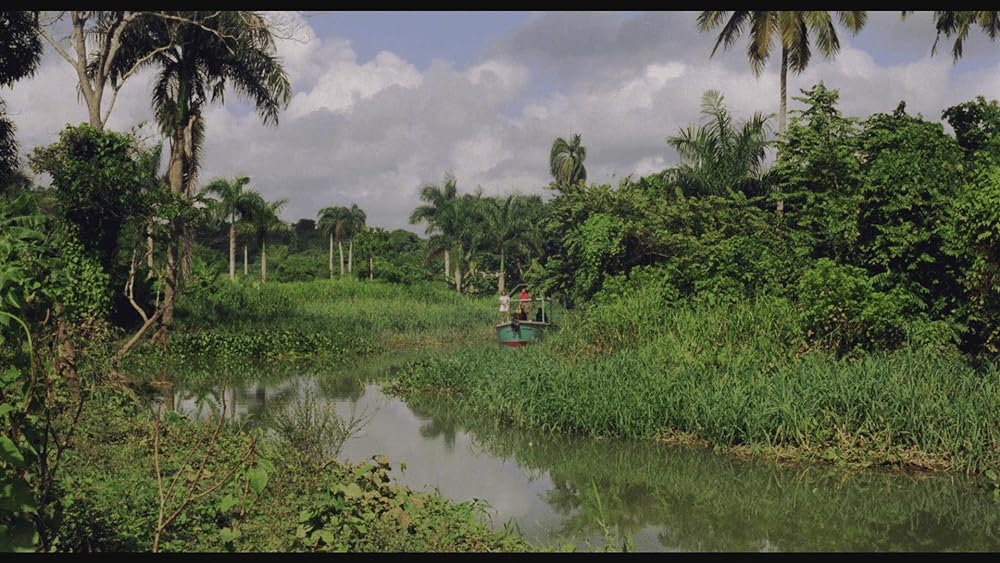 キラー・クロコダイルの画像