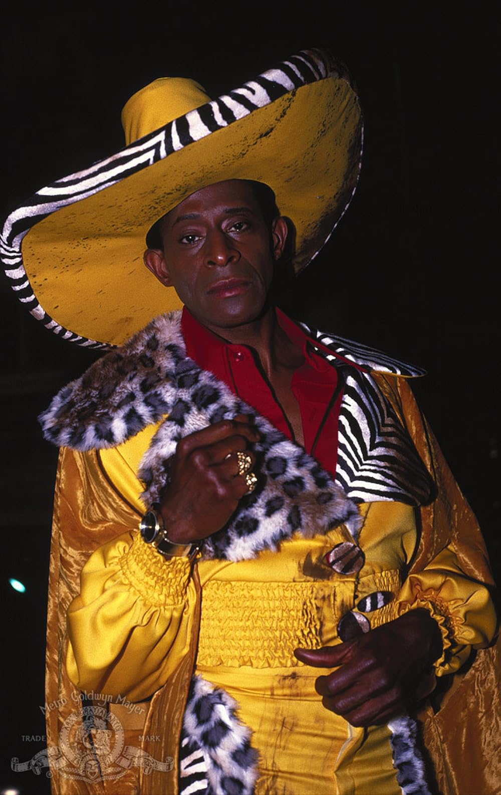 ゴールデン・ヒーロー／最後の聖戦の画像