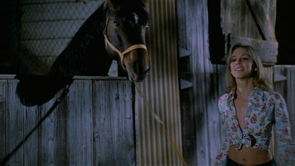 ザ・レイプ・ハンターの画像