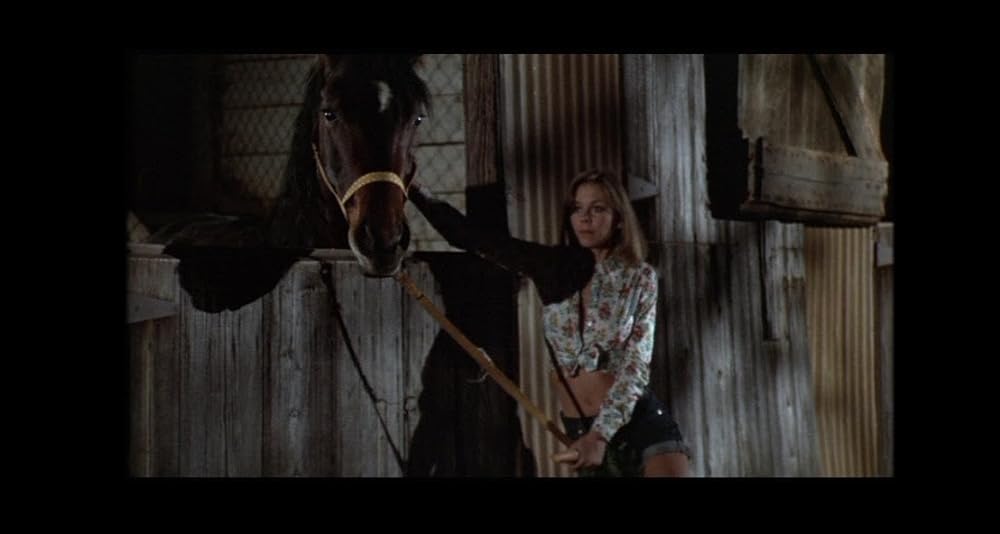 ザ・レイプ・ハンターの画像