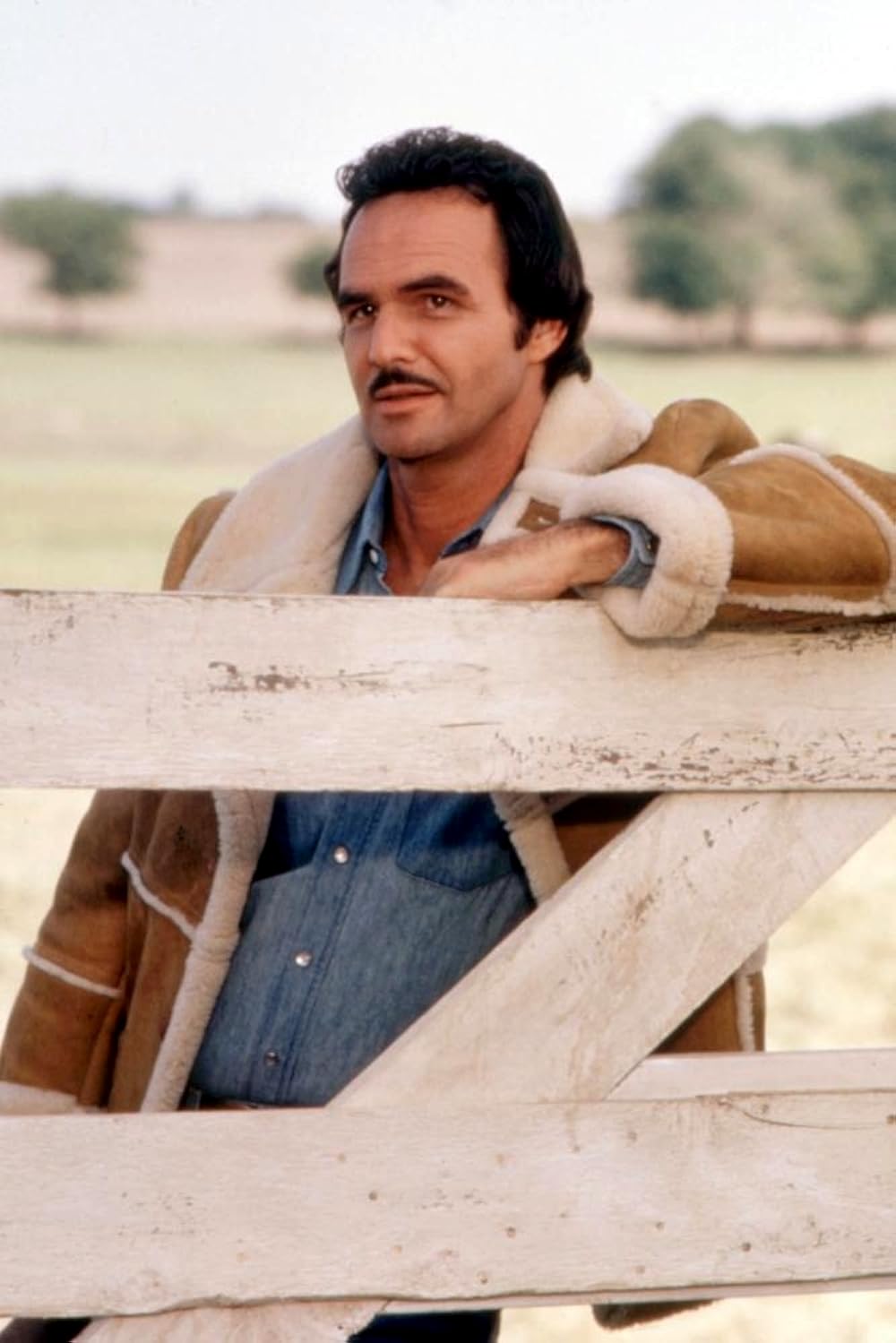 テキサス1の赤いバラの画像