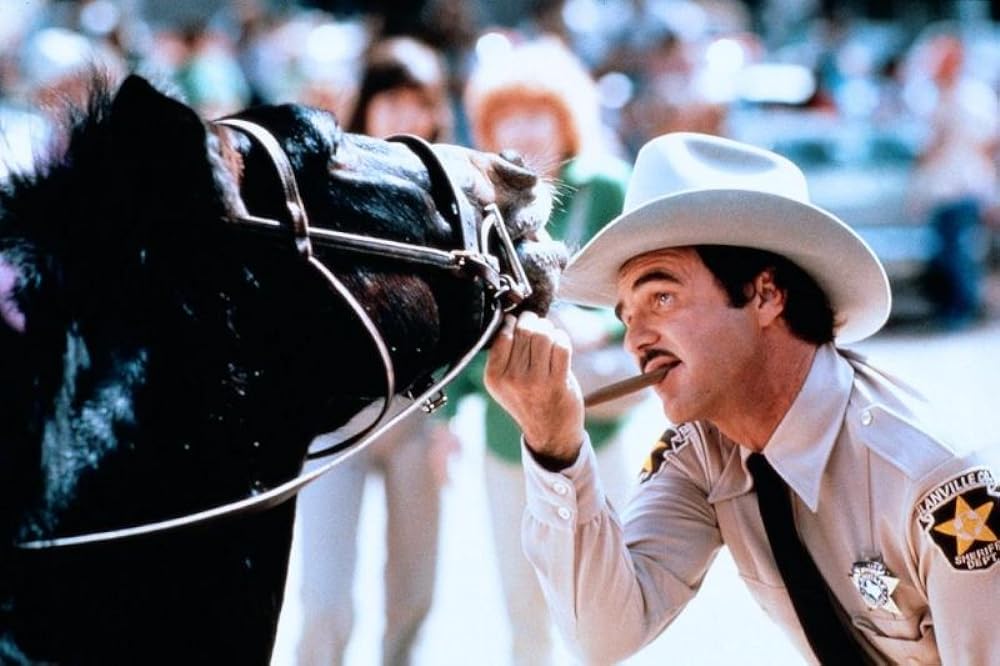 テキサス1の赤いバラの画像