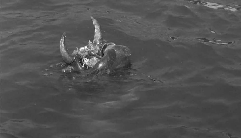 大怪獣出現の画像