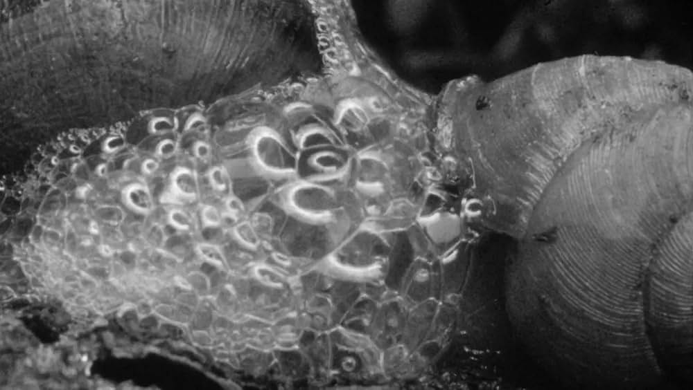 大怪獣出現の画像