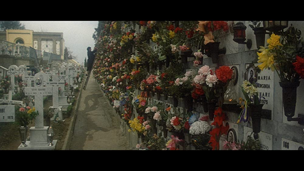 愛のメモリーの画像