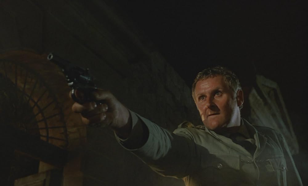 小さな目撃者の画像