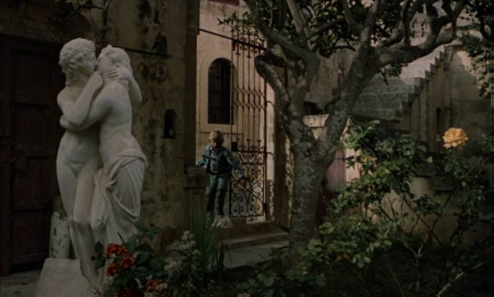 小さな目撃者の画像