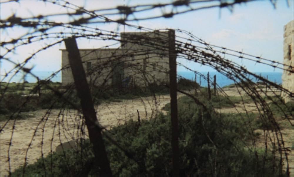 小さな目撃者の画像