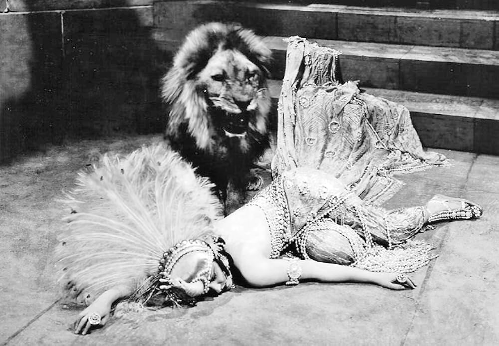 男性と女性の画像