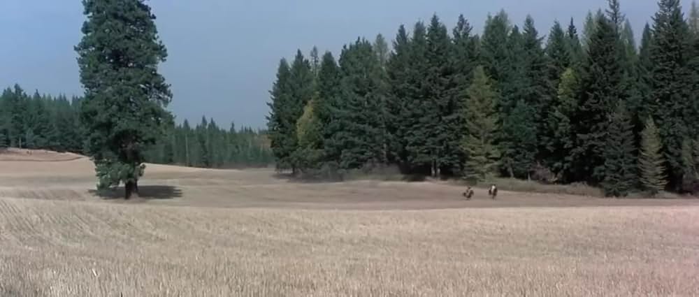 誇り高きインディアンの英雄・ウィンターホークの画像