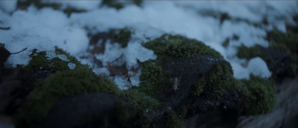 「ボーダー 二つの世界」の画像