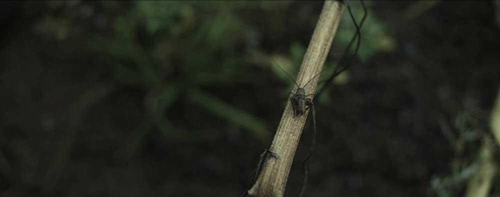 「ボーダー 二つの世界」の画像