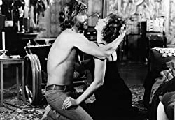 スター誕生の画像