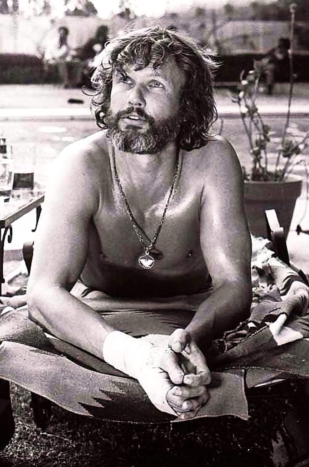 スター誕生の画像