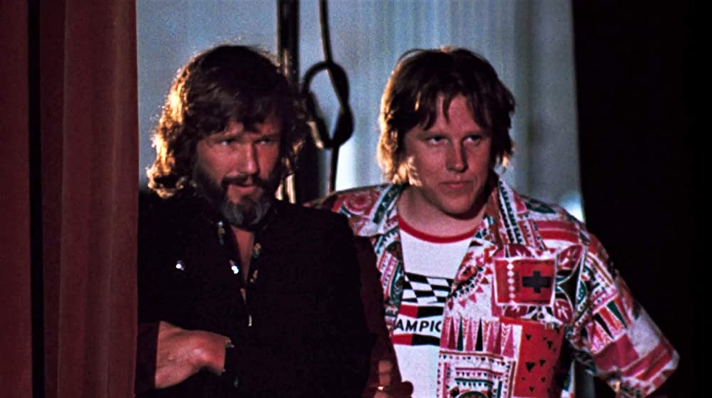 スター誕生の画像