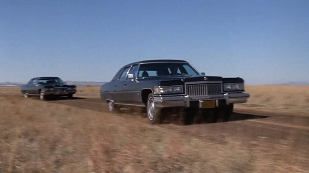 スター誕生の画像