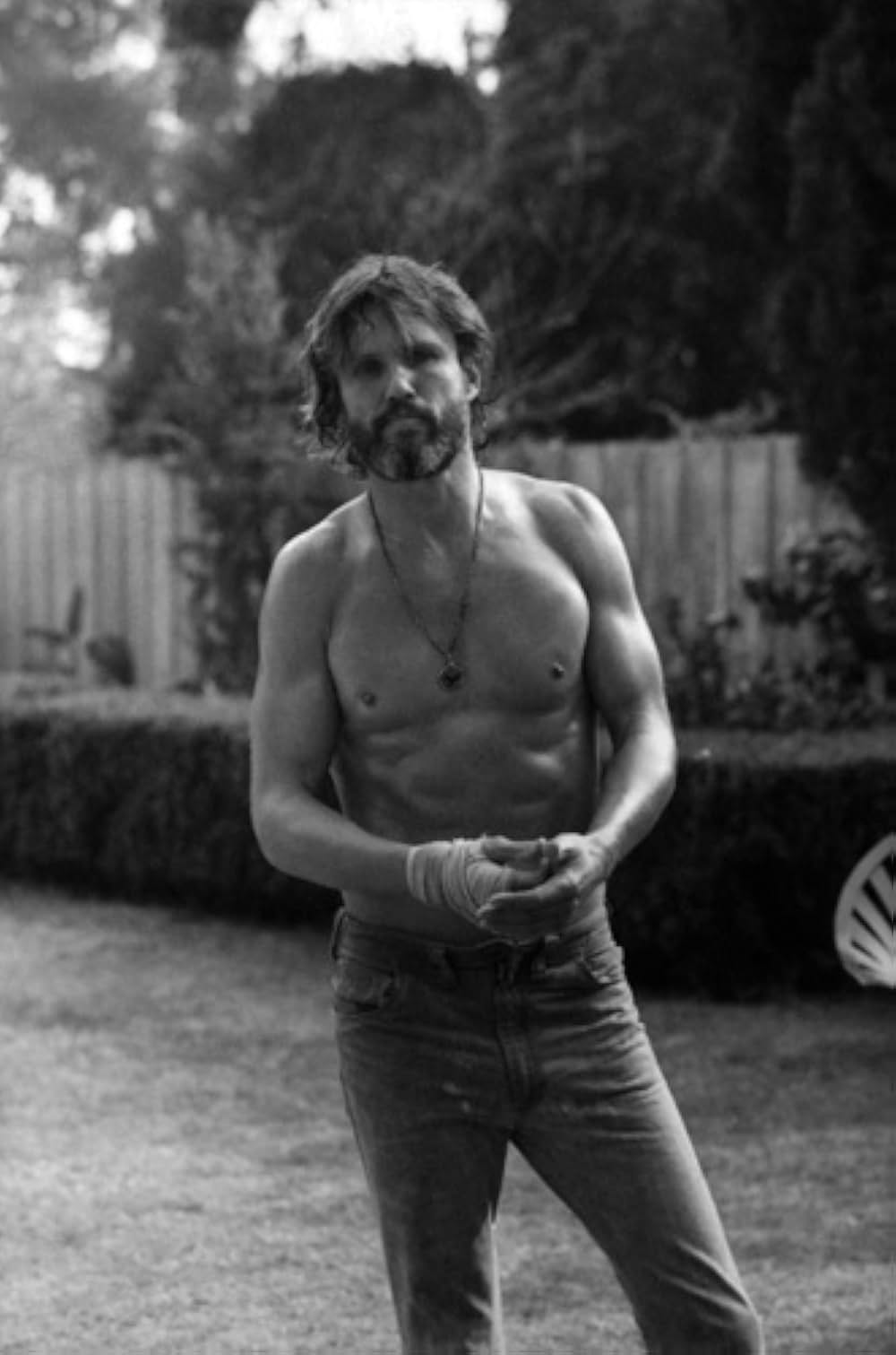 スター誕生の画像