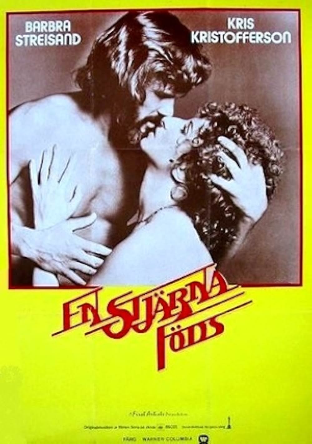 スター誕生の画像