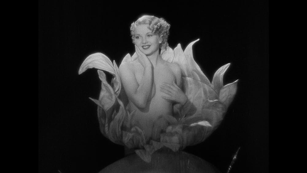 絢爛たる殺人の画像