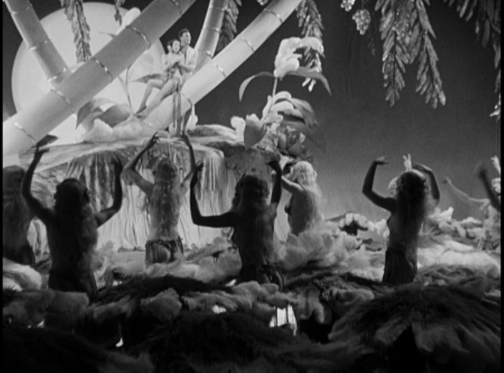 絢爛たる殺人の画像