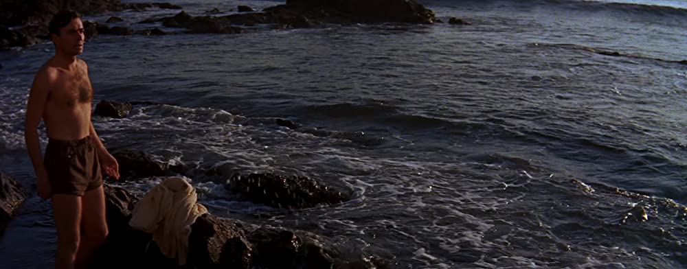 スタア誕生の画像