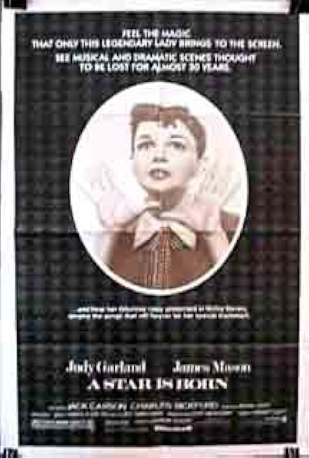 スタア誕生の画像