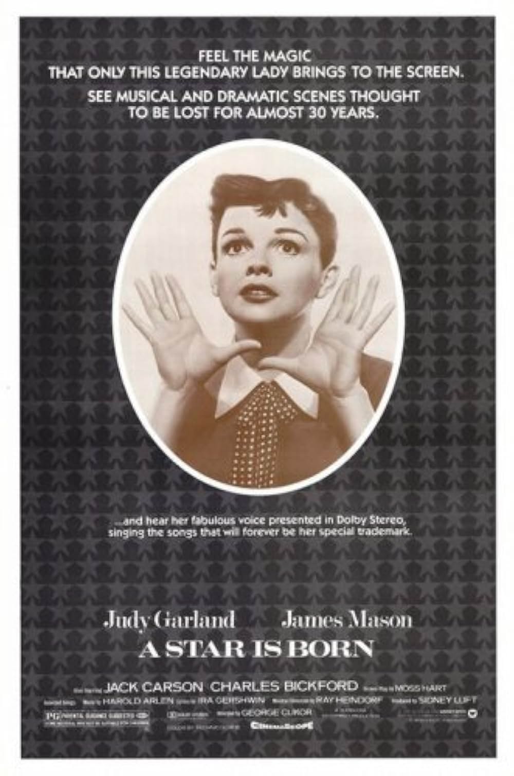 スタア誕生の画像