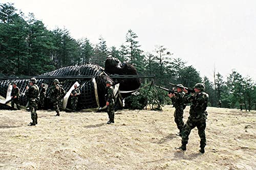 キングコング2の画像