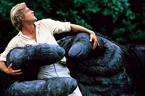 キングコング2の画像