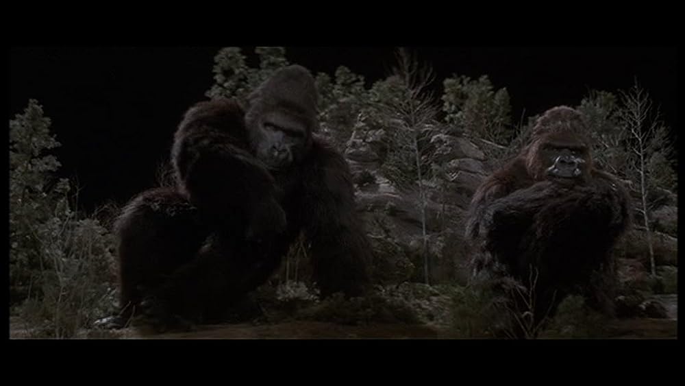 キングコング2の画像