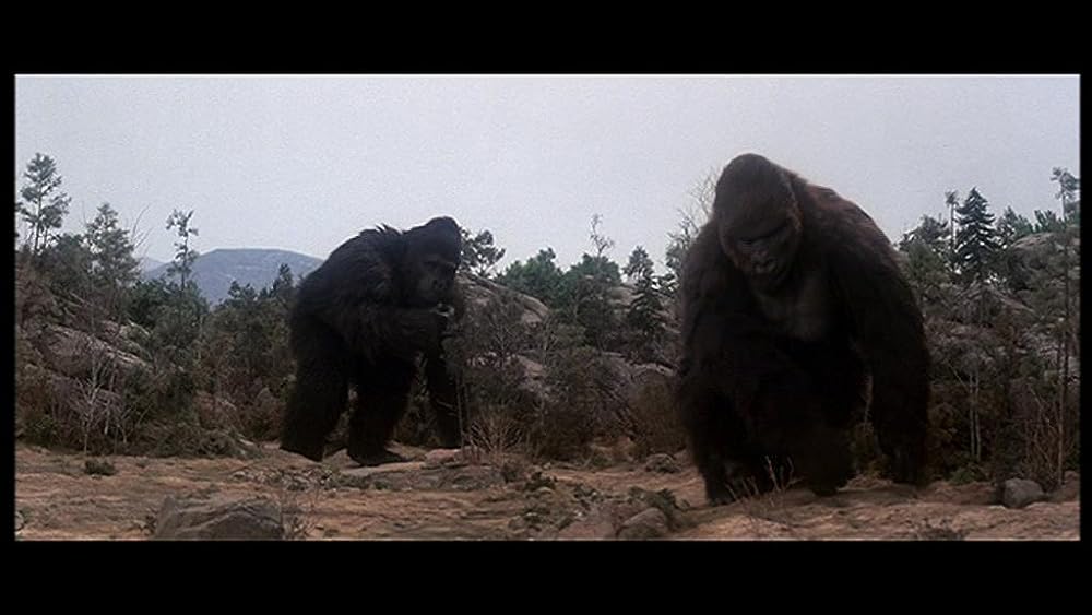 キングコング2の画像